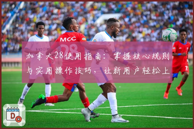 加拿大28使用指南：掌握核心规则与实用操作技巧，让新用户轻松上手