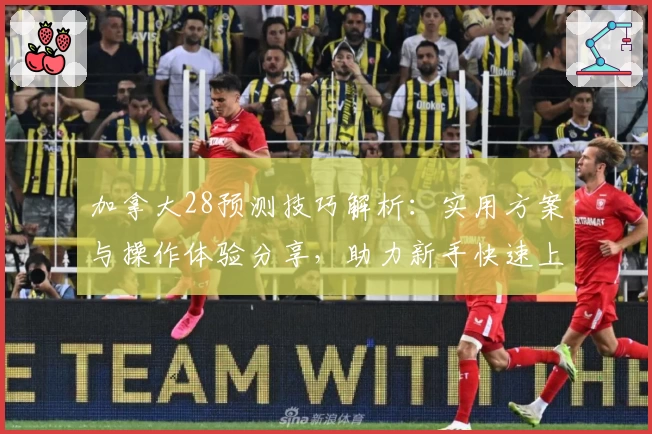 加拿大28预测技巧解析：实用方案与操作体验分享，助力新手快速上手预测策略