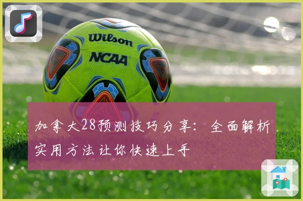 加拿大28预测技巧分享：全面解析实用方法让你快速上手
