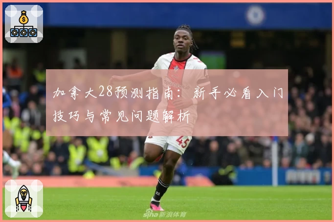 加拿大28预测指南：新手必看入门技巧与常见问题解析