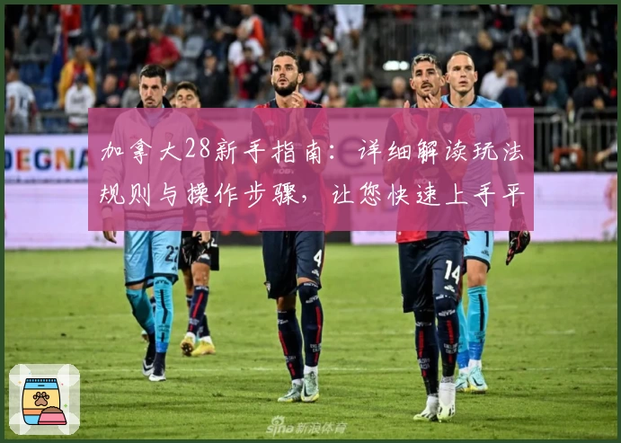 加拿大28新手指南:详细解读玩法规则与操作步骤,让您快速上手平台