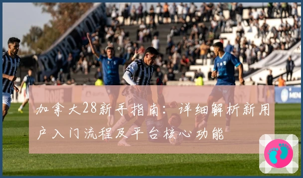 加拿大28新手指南：详细解析新用户入门流程及平台核心功能