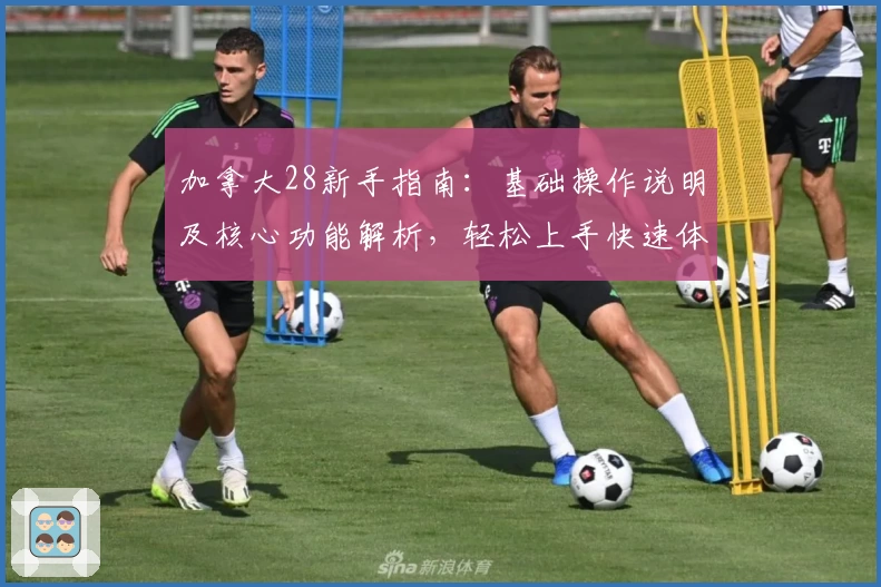 加拿大28新手指南:基础操作说明及核心功能解析,轻松上手快速体验全平台完整服务