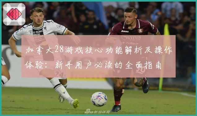 加拿大28游戏核心功能解析及操作体验：新手用户必读的全面指南