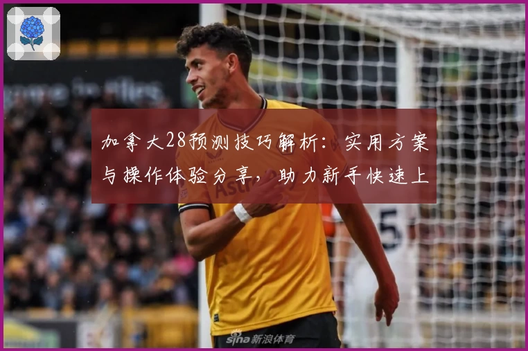 加拿大28预测技巧解析：实用方案与操作体验分享，助力新手快速上手预测策略