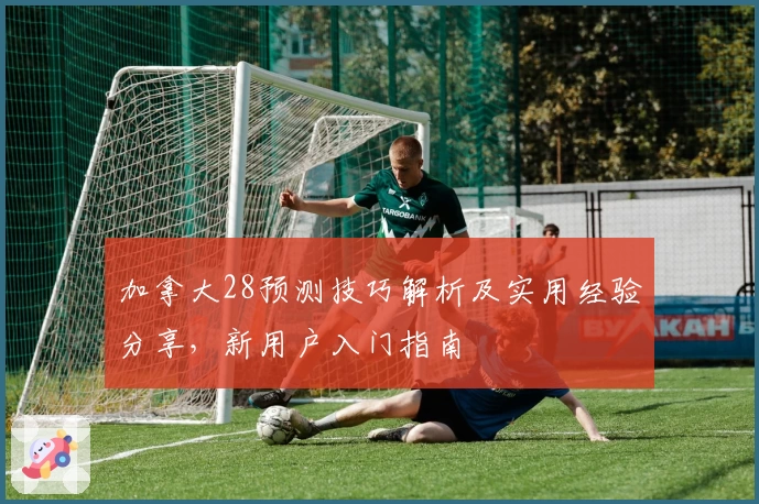 加拿大28预测技巧解析及实用经验分享，新用户入门指南