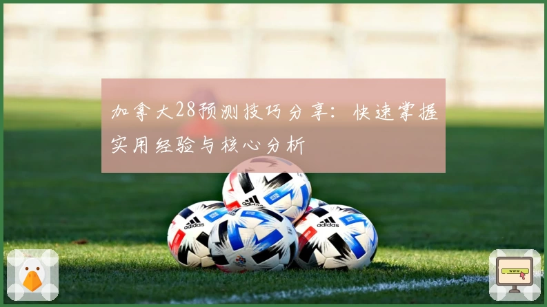 加拿大28预测技巧分享：快速掌握实用经验与核心分析