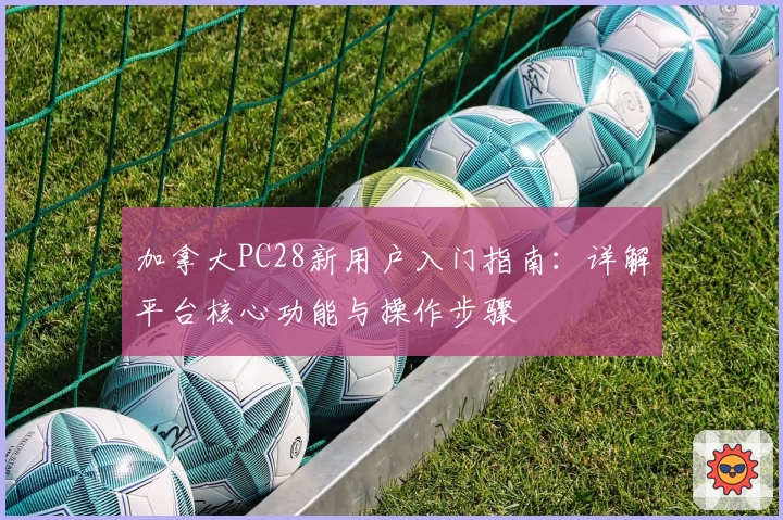 加拿大PC28新用户入门指南：详解平台核心功能与操作步骤