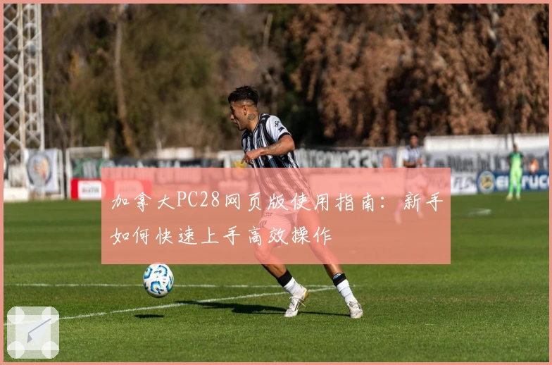 加拿大PC28网页版使用指南：新手如何快速上手高效操作