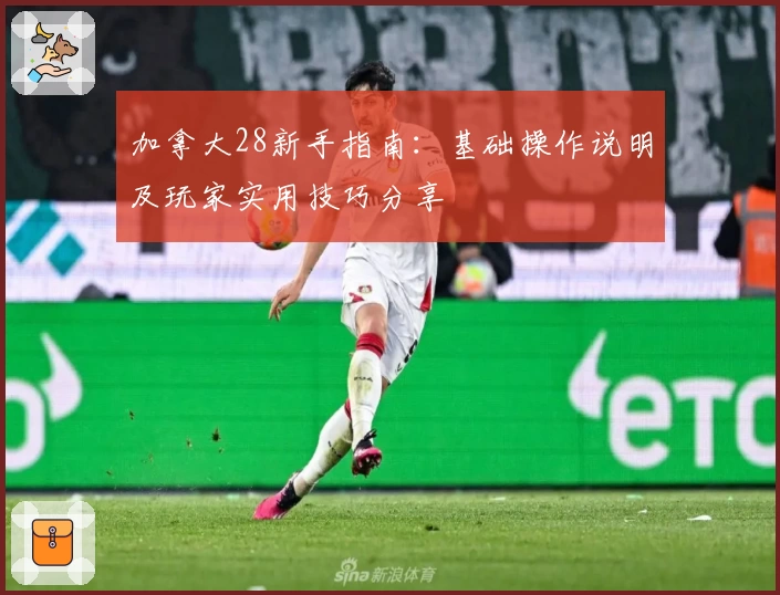 加拿大28新手指南：基础操作说明及玩家实用技巧分享