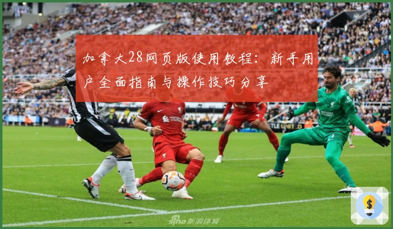 加拿大28网页版使用教程:新手用户全面指南与操作技巧分享