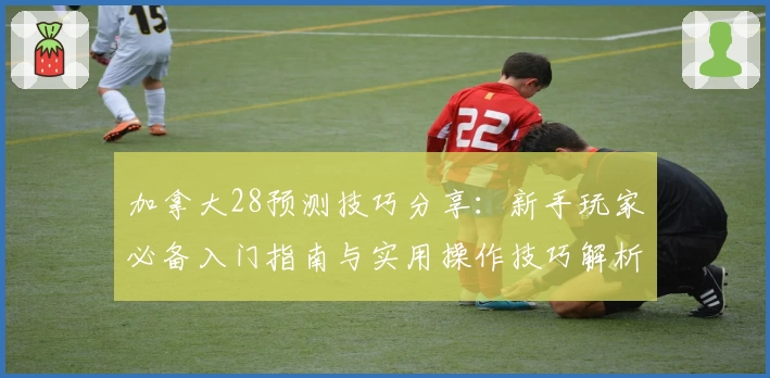 加拿大28预测技巧分享：新手玩家必备入门指南与实用操作技巧解析