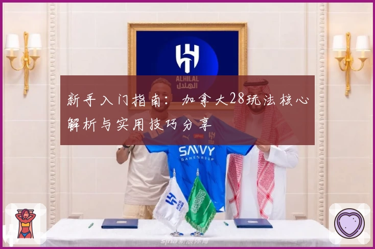 新手入门指南：加拿大28玩法核心解析与实用技巧分享