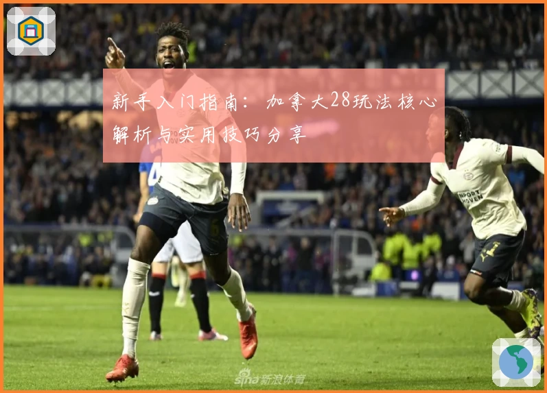 新手入门指南：加拿大28玩法核心解析与实用技巧分享