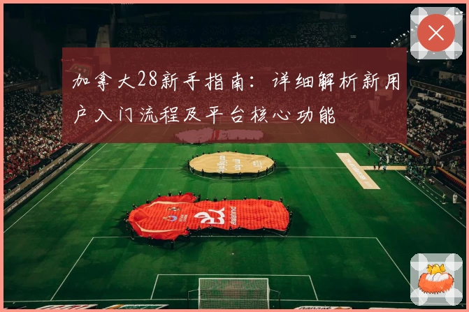 加拿大28新手指南：详细解析新用户入门流程及平台核心功能