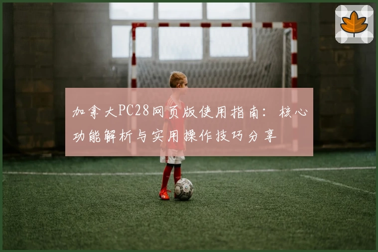 加拿大PC28网页版使用指南：核心功能解析与实用操作技巧分享