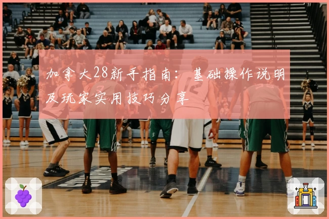 加拿大28新手指南：基础操作说明及玩家实用技巧分享